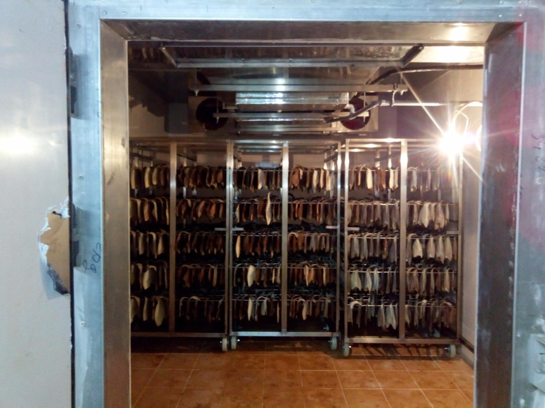 WhatsApp Image 2017-10-26 at 17.39.42