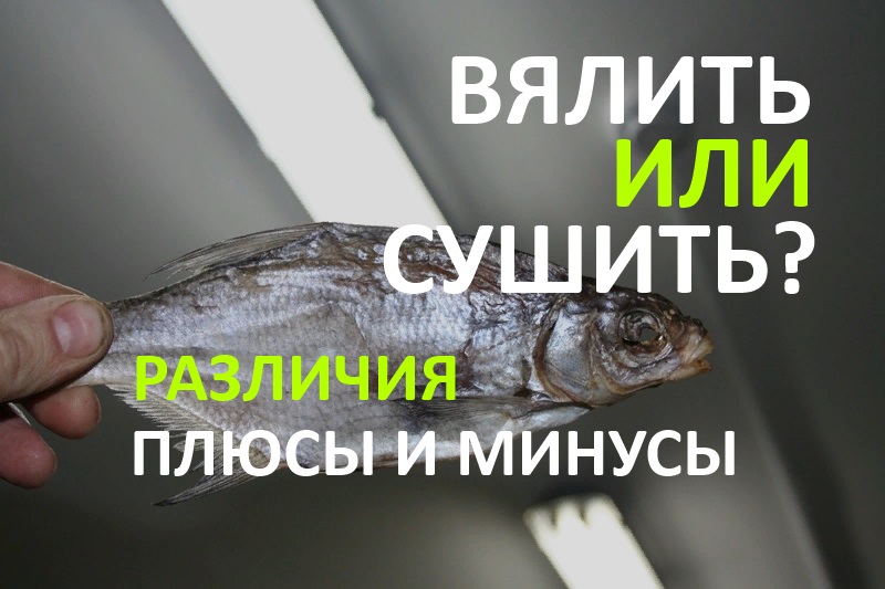 вялить или сушить.jpg